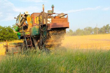 Fototapeta premium old tractor in the field