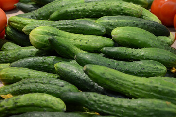 cucumbers in the market. Cucumber plant products growing from fresh green raw organic farm ready to sent to supermarket. Background pile of cucumbers agriculture concept.