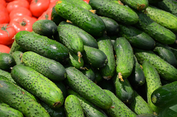 cucumbers in the market. Cucumber plant products growing from fresh green raw organic farm ready to sent to supermarket. Background pile of cucumbers agriculture concept.