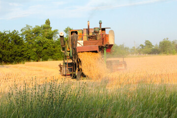 combine harvester on wheat field