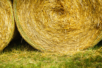 Bale of hay outdoors