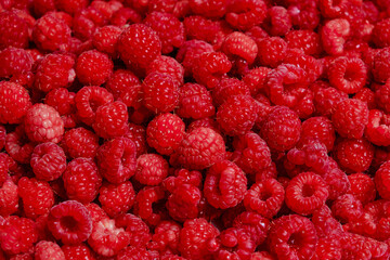 Background of ripe and bright red raspberries.