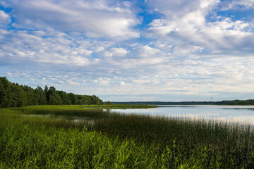 Fototapeta na wymiar Summer rural landscape with a lake. Shore of a forest lake. Clouds in the sky.