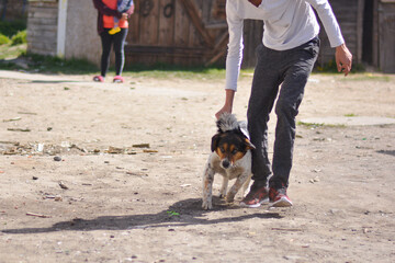 Mistreated poor, sad, scared mix breed dog getting pulled, punished by young man in gypsy village.