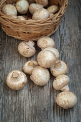 White mushrooms and basket on the wooden surface