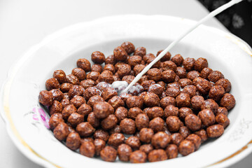 Chocolate balls made of cocoa with milk in a plate for breakfast, a healthy diet for fitness.
