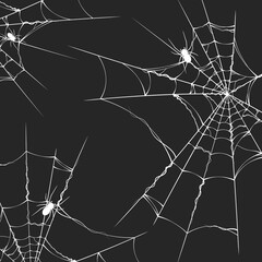 Halloween spiderweb border frame with spiders. Vector isolated realistic spooky background for october night party and invitations.