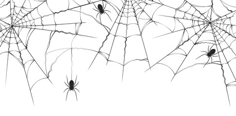 Halloween spiderweb border with spiders. Vector isolated realistic spooky background for october night party and invitations.