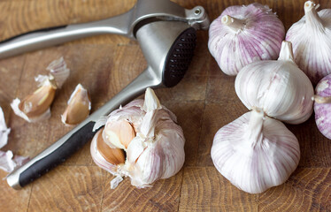 Garlic dry head and slices and metal garlic squeeze on wooden background, top view selective focus