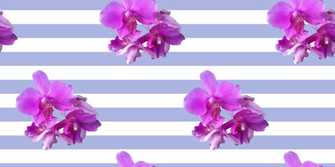 Pink orchid on blue and white striped background. Isolated flowers. Seamless floral pattern for fabric, textile, wrapping paper. Tropical flowers