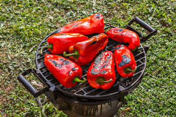 Fresh red pepper on the grilling Pan, with gras in background, in the backyard - 362497961