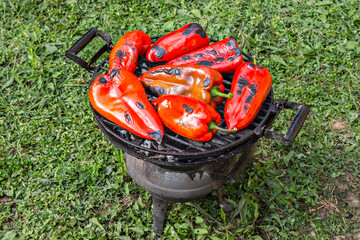 Fresh red pepper on the grilling Pan, with gras in background, in the backyard - 362497984
