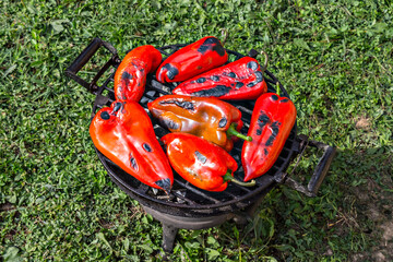 Fresh red pepper on the grilling Pan, with gras in background, in the backyard - 362497992