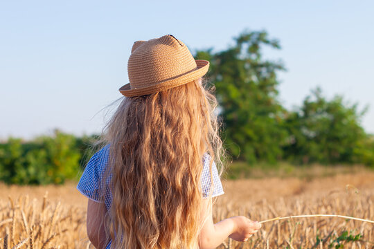 Adorable little girl in a straw hat and blue plaid summer dress in wheat field. Child with long blonde wavy hair on countryside landscape with spikelet in hand. Farming agriculture harvesting concept.