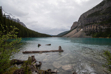 Fototapeta na wymiar A wide view of Moraine lake as seen from the far side. AB Canada 