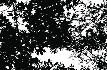 Tree leaves. Forest nature backdrop.Grunge texture. Grunge black and white vector overlay. Grungy grainy surface.