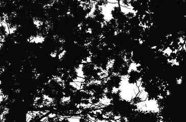 Tree leaves. Forest nature backdrop.Grunge texture. Grunge black and white vector overlay. Grungy grainy surface.