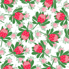 Seamless vector pattern with protea flowers on white background