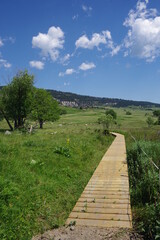 Passerelle en bois platelage caillebotis pour randonnée marcher dans la nature en zone sensible de marécage