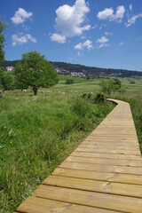 Passerelle en bois platelage caillebotis pour randonn&eacute;e marcher dans la nature en zone sensible de mar&eacute;cage
