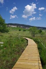 Passerelle en bois platelage caillebotis pour randonnée marcher dans la nature en zone sensible de marécage