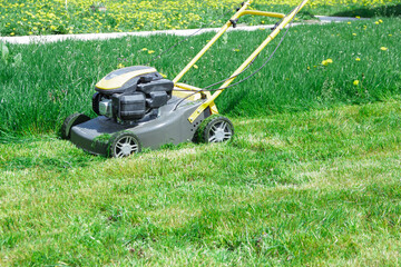 Sunny lawn mowing in the garden near house. Homework concept