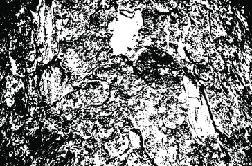 Wooden texture. Tree wood material.Grunge texture. Grunge black and white vector overlay. Grungy grainy surface.