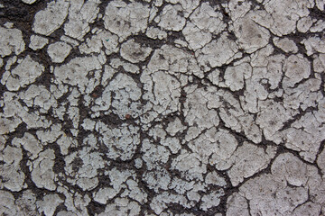 Cracked flaking white paint on old stone wall. Old Weathered Painted White Plastered Peeled Wall Background. Cracked Flaked Shabby Wall With Rundown Stucco Layer Texture.