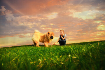 happy little girl with pigtails in denim overalls plays 
on the street with a big chubby dog. The...