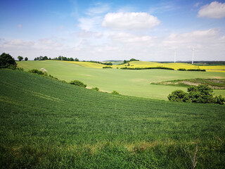 Windmills. Artistic look in vintage vivid colours.