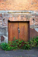 An old metal door overgrown with shrubs.