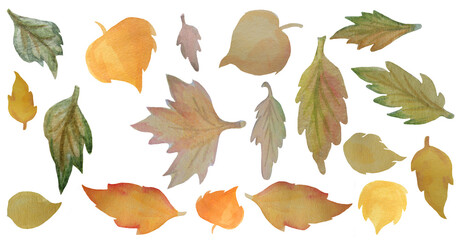 Fototapeta premium Fall. Yellow and green leaves of different shapes. Watercolor illustration. Isolated white background