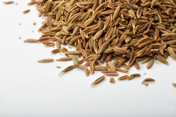 Paddy isolated on a white background, photography