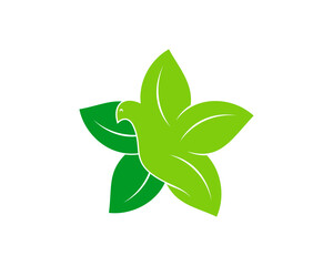 Flying leaf bird and star