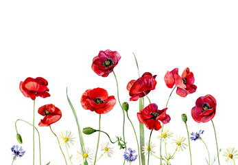 Watercolor background of wild flowers and poppies on a white background.For greetings, invitations, weddings, anniversaries and birthday
