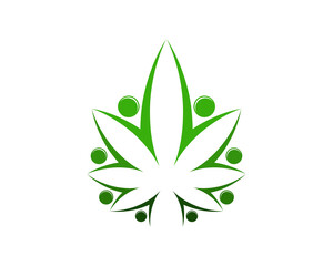 Cannabis leaf and people connection
