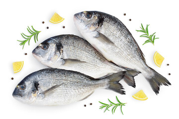 Fish dorado isolated on white background with clipping path and full depth of field. Top view. Flat lay