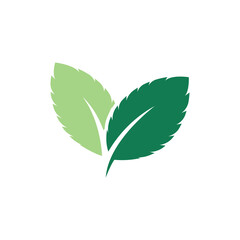 Mint leaves flat vector color icon