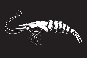 Graphical sketch of shrimp isolated on white background. Vector sea-food illustration. Prawn illustration for emblem or package.