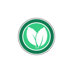 Mint leaves flat vector color icon