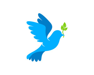 Flying pigeon with leaf at beak