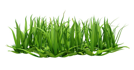 3d Render Brush Tree Isolated  on white