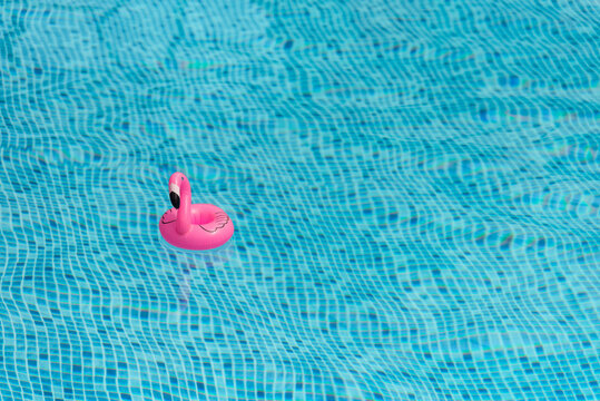 Inflatable circle Pink Flamingo floating on surface of Summer Pool with blue faience 