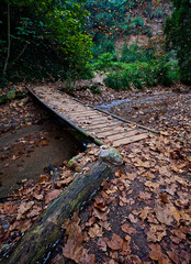 Wooden bridge spanning a small river with dry leaves around