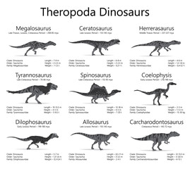 Theropoda dinosaurs. Monochrome vector illustration of dinosaurs isolated on white background. Set of ancient creatures with information of size, weigh, classification and period of living