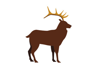 vector deer on white background