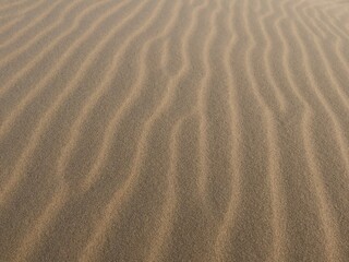 Fototapeta premium sand ripples in the sand