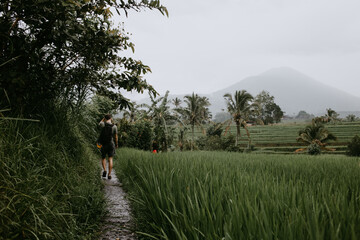 Fototapeta premium male tourist in rice terraces Bali