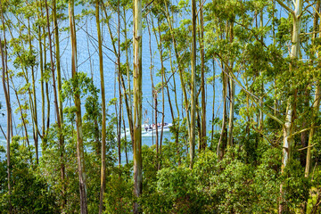 Fototapeta premium A view of a beautiful lake and its picturesque surrounding near
