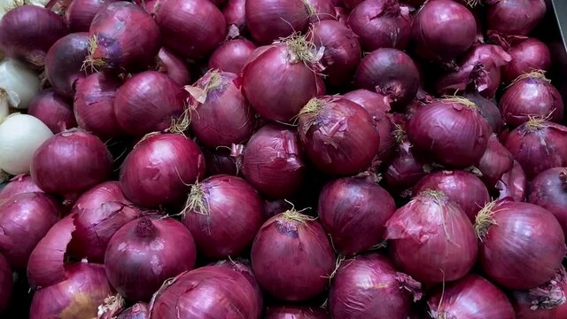 Large organic fresh red onions. Australia.